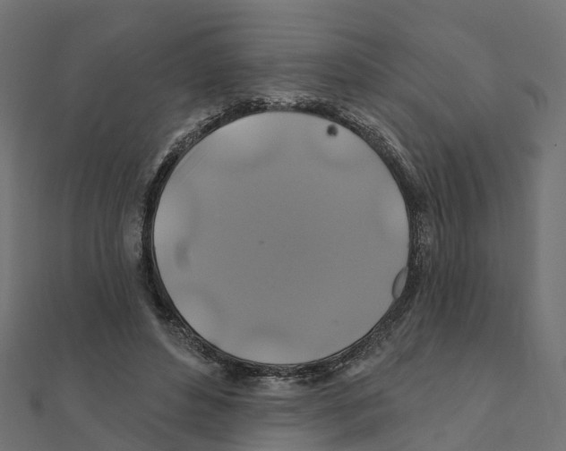 X0000111240496200907301309