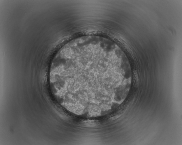 X0000111240499200907301309