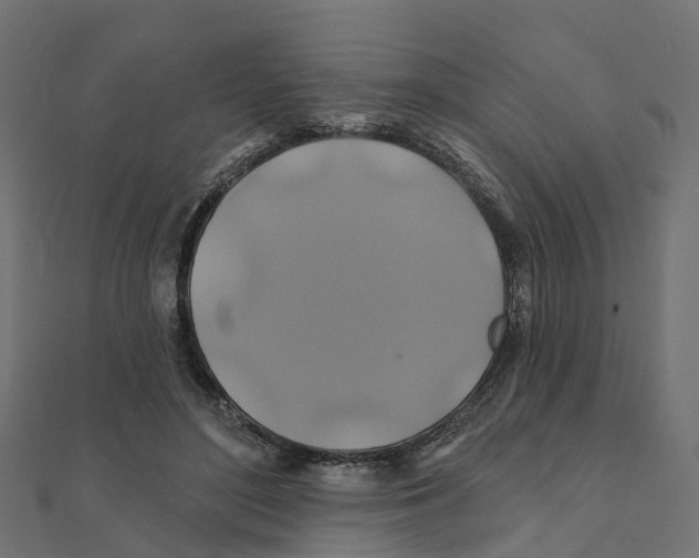 X0000111240500200907301309