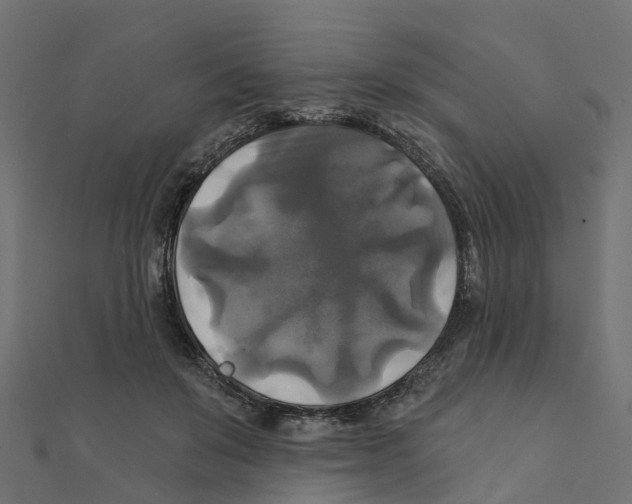 X0000111240503200907301309