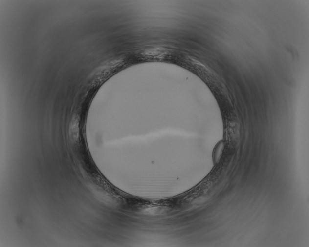 X0000111240504200907301309