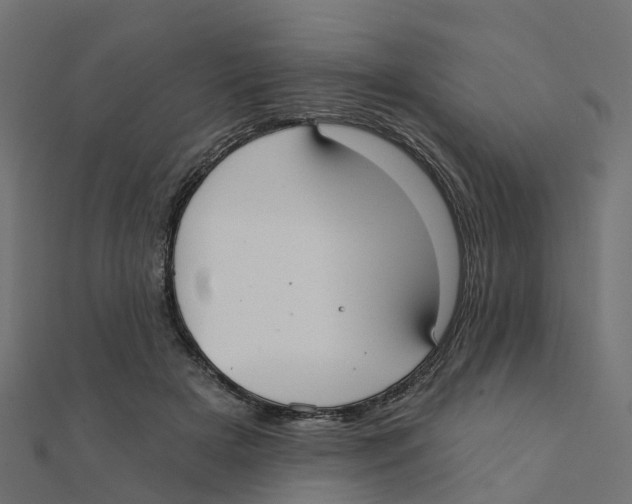 X0000111240505200907301309