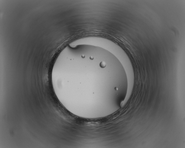 X0000111240508200907301309