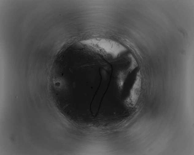 X0000111240509200907301309