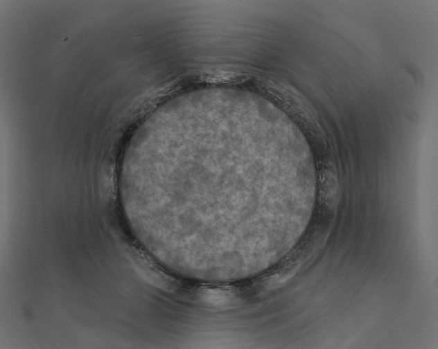 X0000111240510200907301309