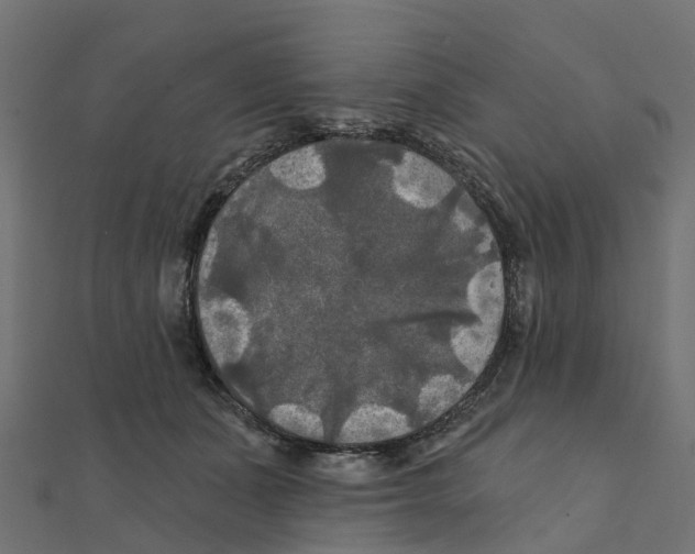 X0000111240511200907301309