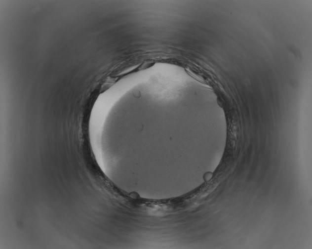 X0000111240512200907301309