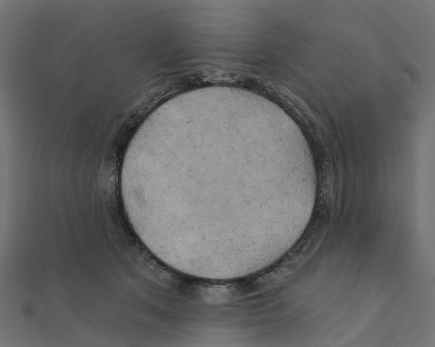 X0000111240513200907301309