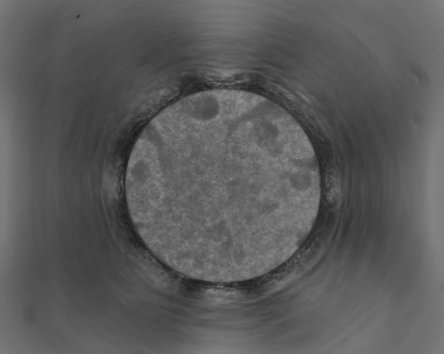 X0000111240515200907301309