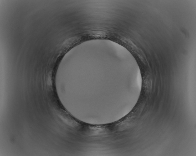 X0000111240516200907301309