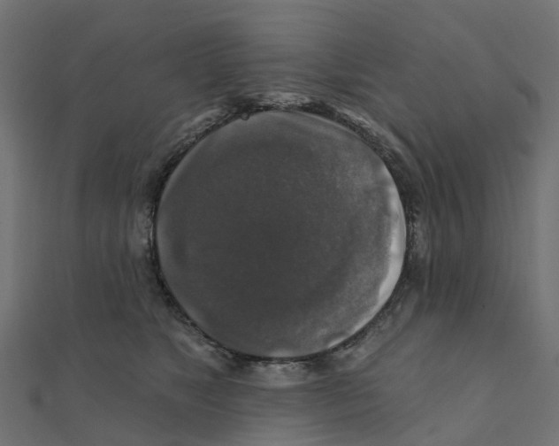 X0000111240517200907301309