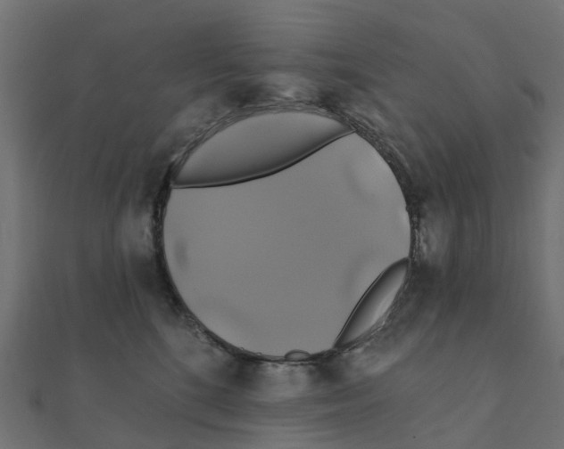 X0000111240520200907301309