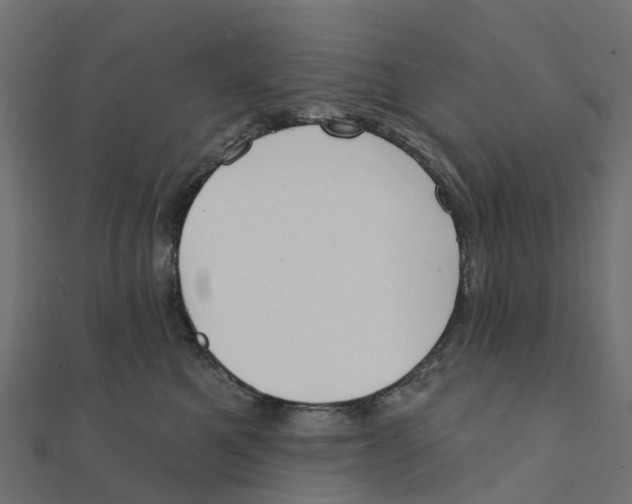X0000111240521200907301309