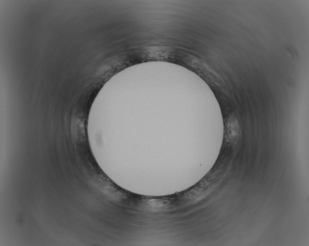 X0000111240522200907301309