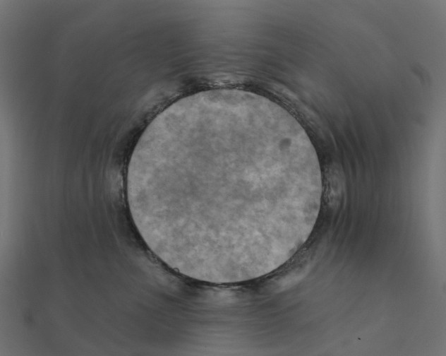 X0000111240523200907301309