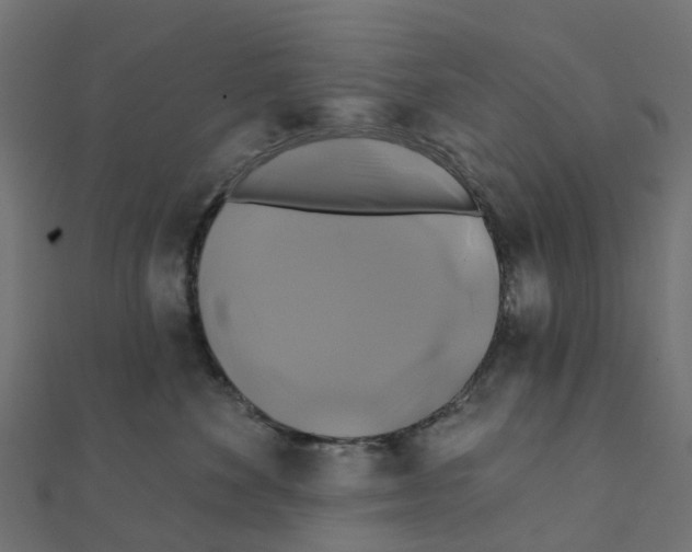 X0000111240524200907301309
