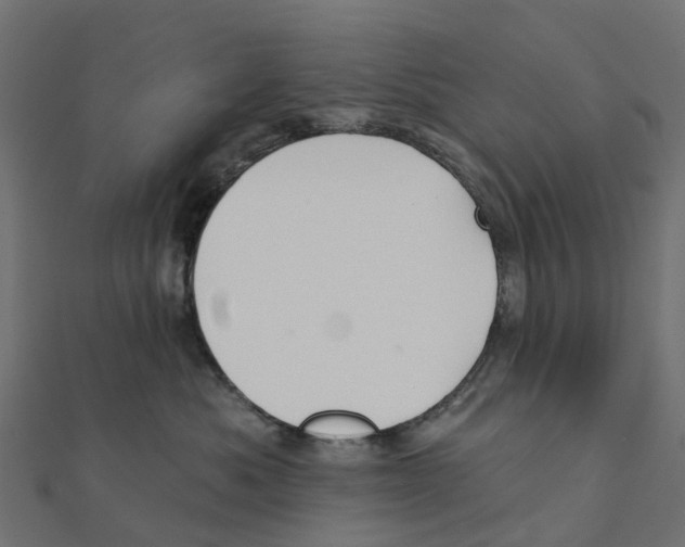 X0000111240525200907301309