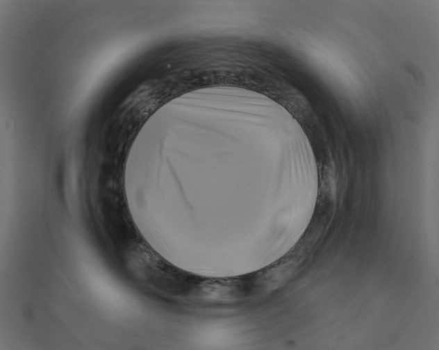 X0000111240526200907301309