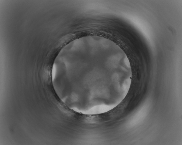 X0000111240527200907301309
