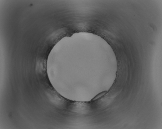 X0000111240528200907301309