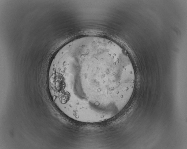 X0000111240529200907301308