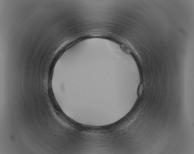 X0000111240530200907301308