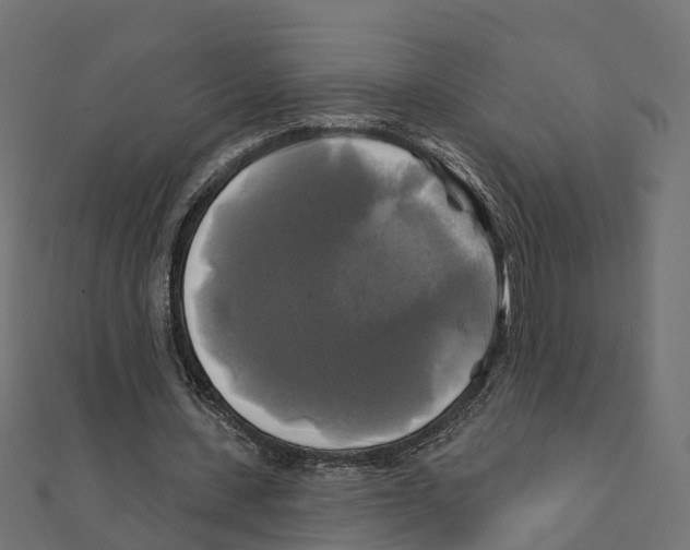 X0000111240531200907301308
