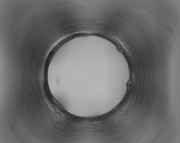 X0000111240532200907301308