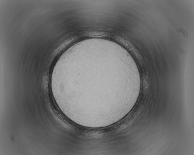 X0000111240533200907301308