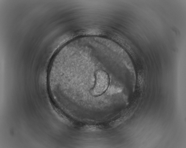 X0000111240534200907301308