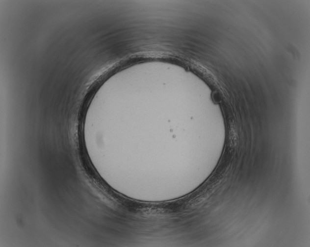 X0000111240535200907301308
