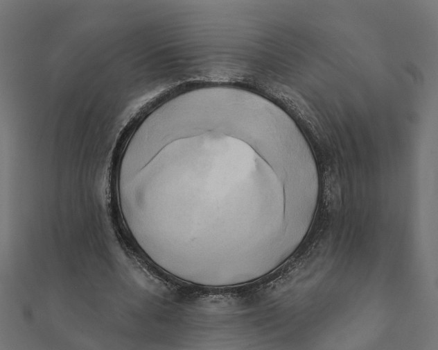 X0000111240536200907301308
