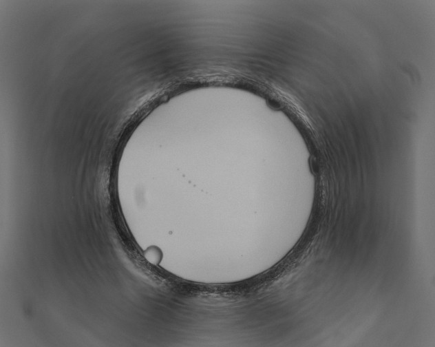 X0000111240538200907301308