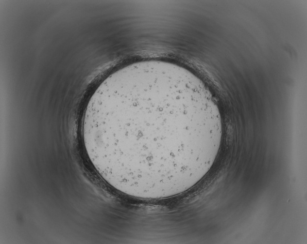 X0000111240539200907301308