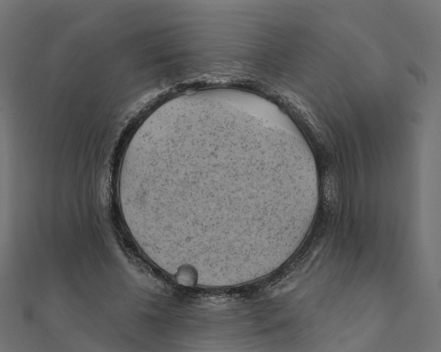 X0000111240540200907301308