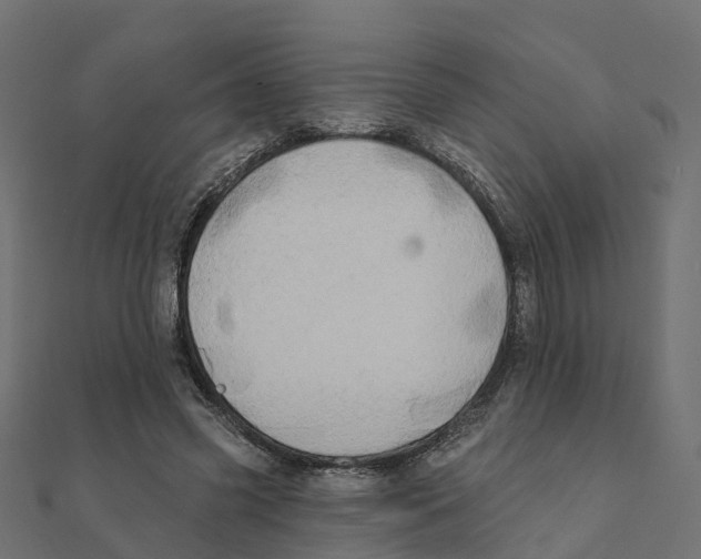 X0000111240541200907301308