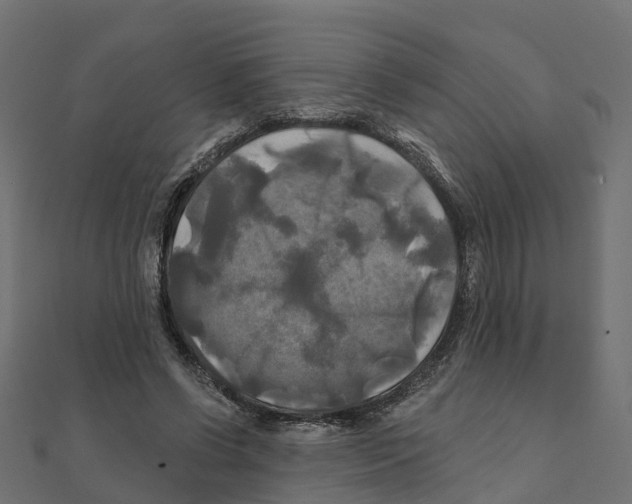 X0000111240542200907301308