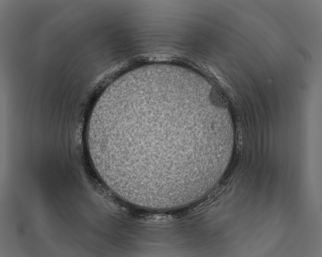X0000111240543200907301308