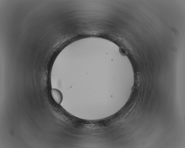 X0000111240544200907301308