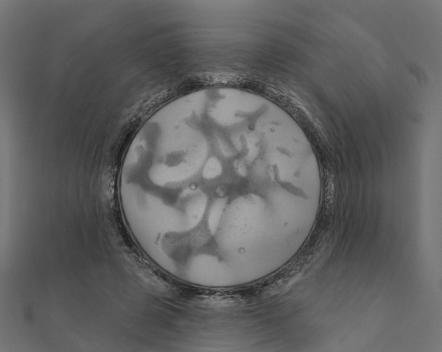 X0000111240545200907301308