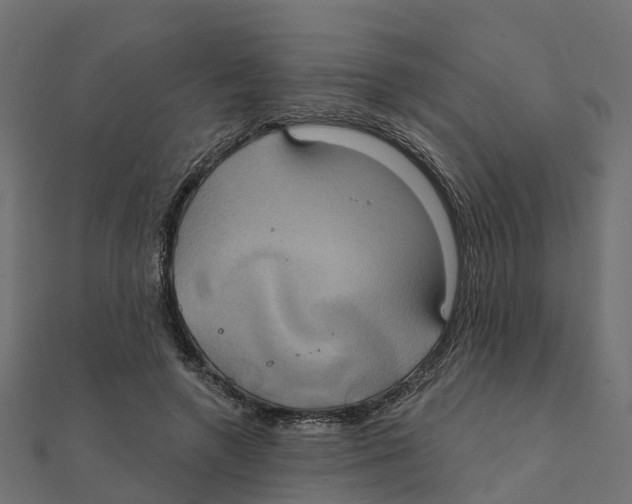X0000111240546200907301308