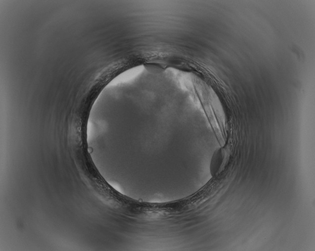X0000111240547200907301308