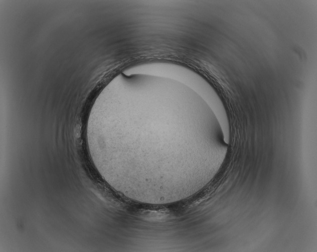 X0000111240548200907301308