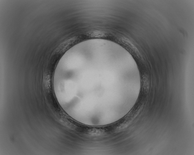 X0000111240549200907301308