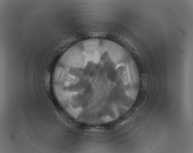 X0000111240550200907301308