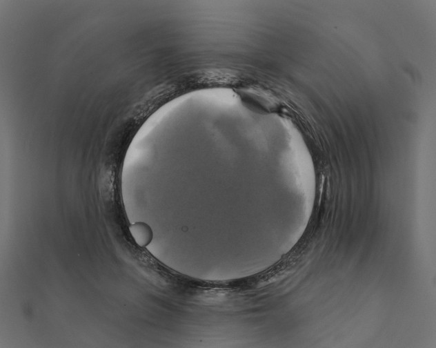 X0000111240551200907301308