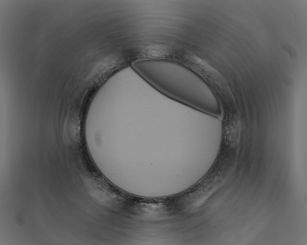 X0000111240552200907301309