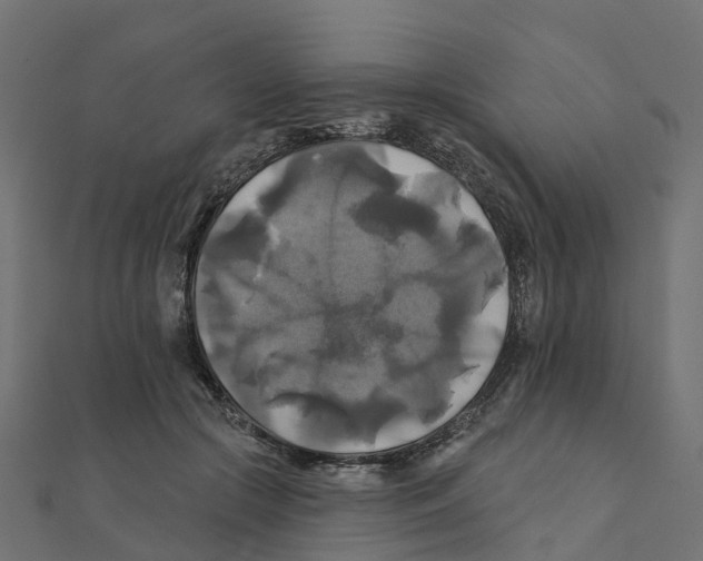 X0000111240553200907301309