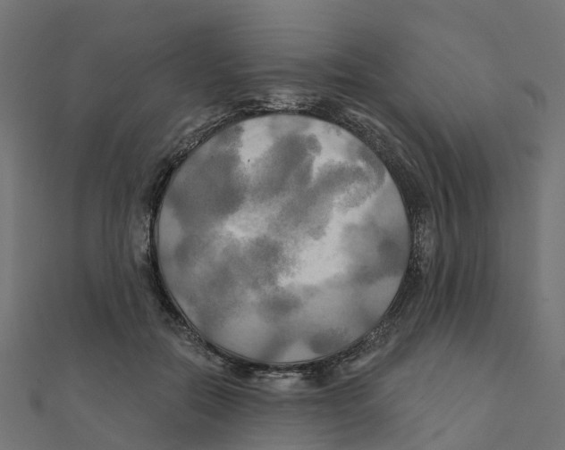 X0000111240554200907301309
