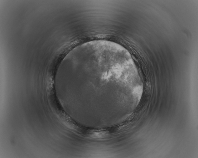 X0000111240555200907301309